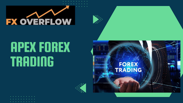 Apex Forex Trading