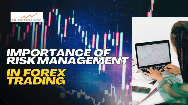 Mastering Risk Management: The Key to Long-Term Success in Forex Trading