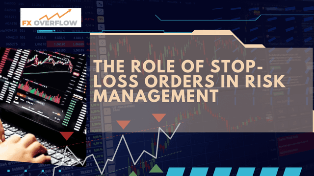 Stop-Loss Orders: Your Safety Net in Forex Trading Risk Management