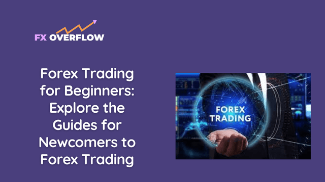 Forex Trading for Beginners: Explore the Guides for Newcomers to Forex Trading