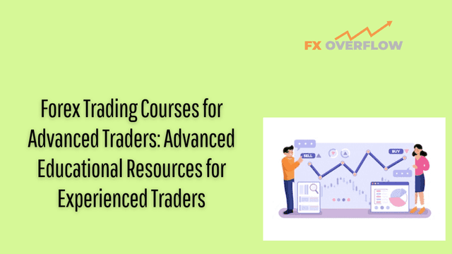 Forex Trading Courses for Advanced Traders: Advanced Educational Resources for Experienced Traders