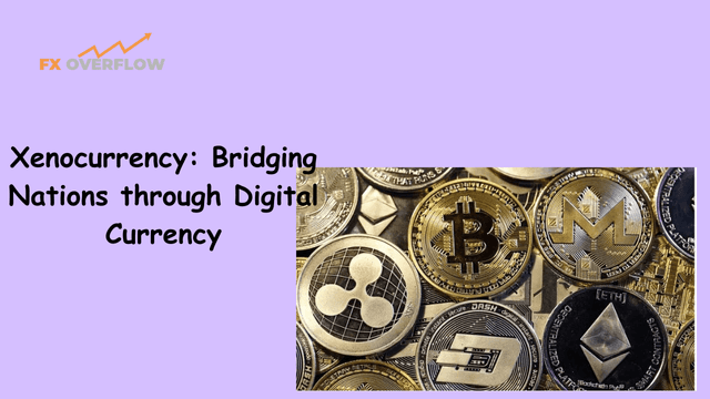 Xenocurrency: Bridging Nations through Digital Currency